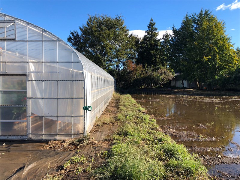 ビニールハウス