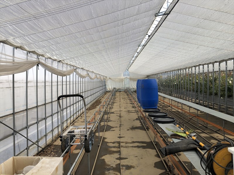 ROSE LABOのハウスの中