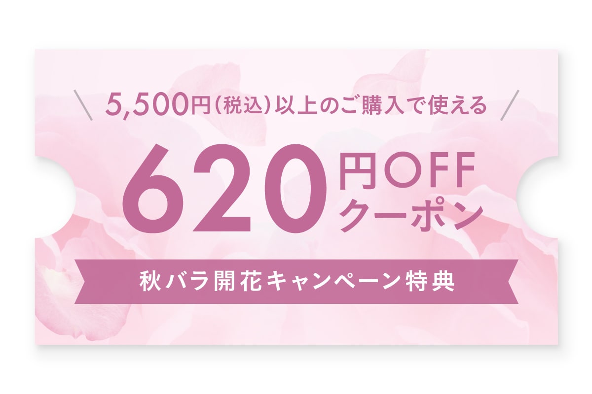 620円OFFクーポン