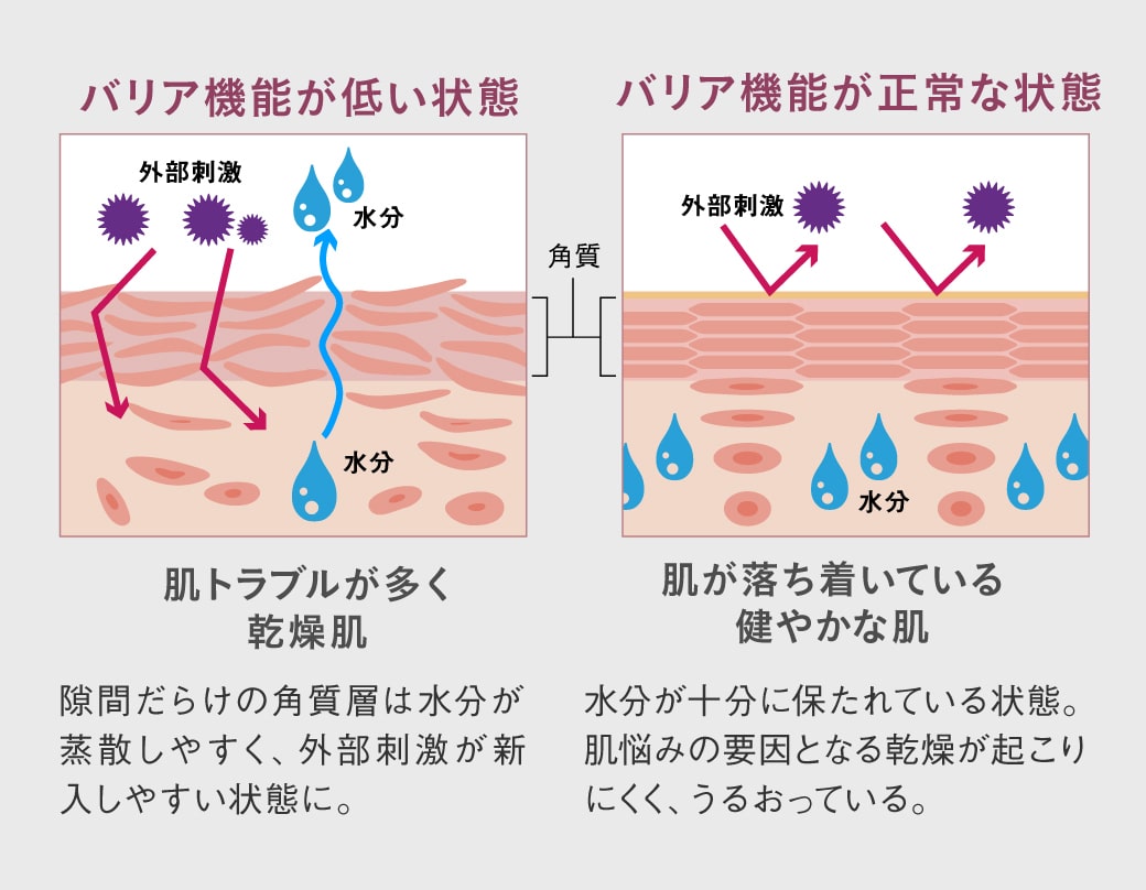 バリア機能比較画像