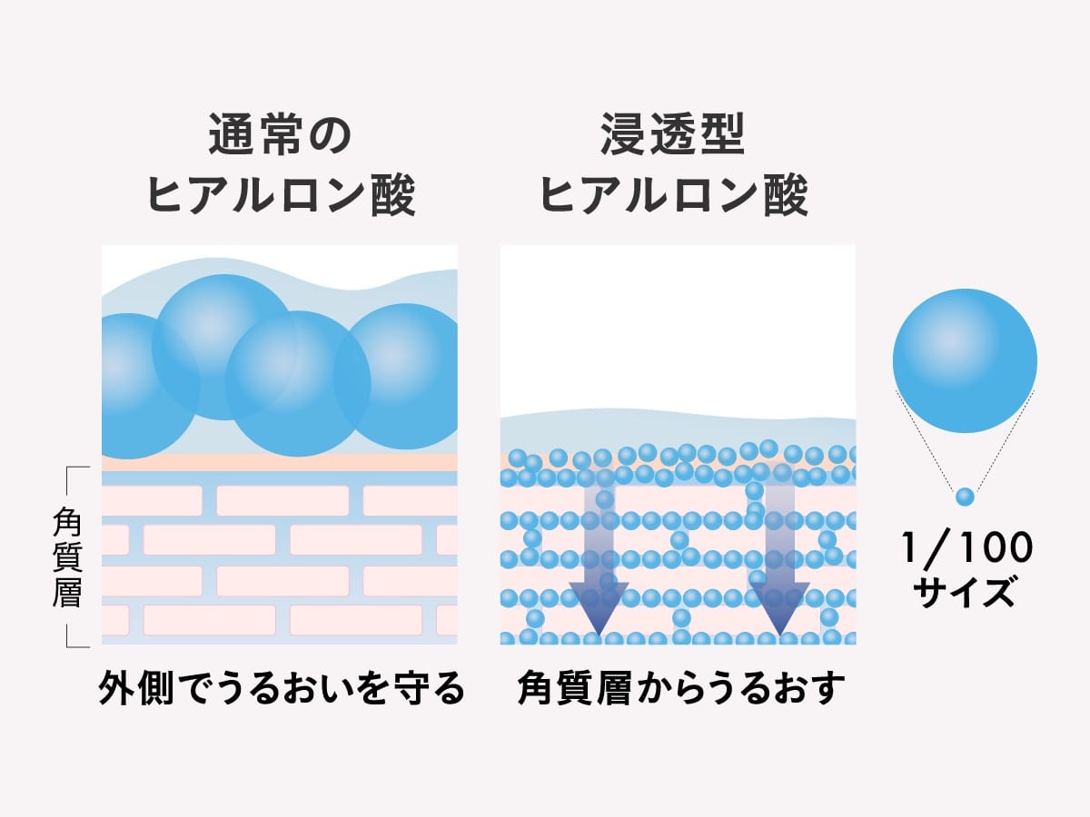 2種のヒアルロン酸