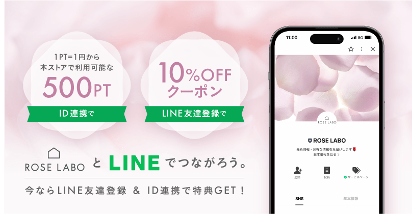 LINE友達登録で10%OFF！さらに会員情報と連携で500ポイントプレゼント