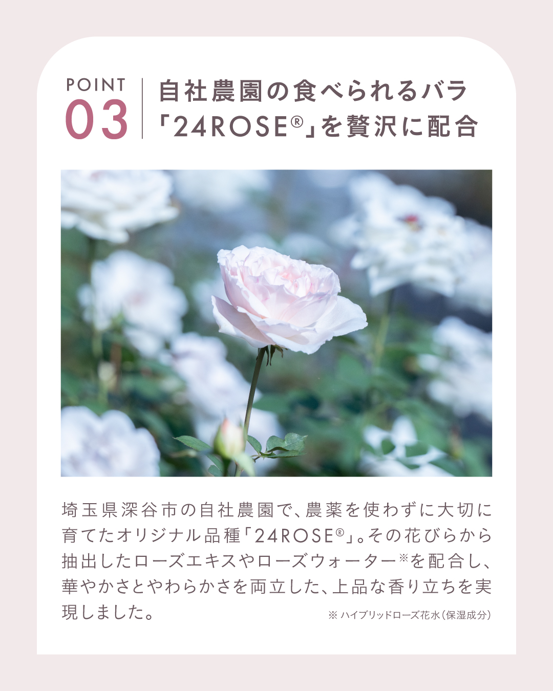 24ROSE®️ローズロールオンパフューム ｜ ROSE LABO〈ローズラボ〉公式