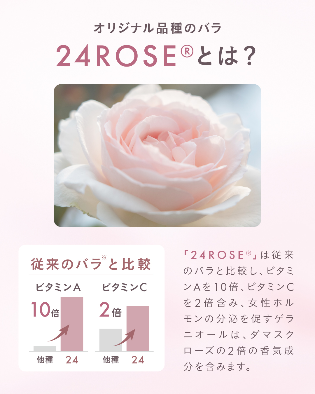 24ROSE®️ローズロールオンパフューム ｜ ROSE LABO〈ローズラボ〉公式