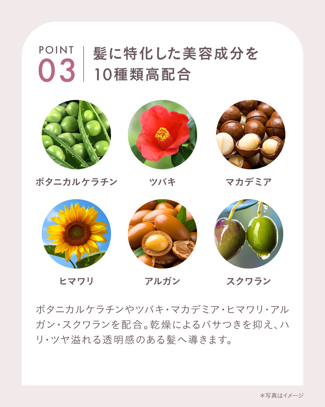 24ROSE®ローズシャンプー&トリートメント | ノンシリコン&アミノ酸で
