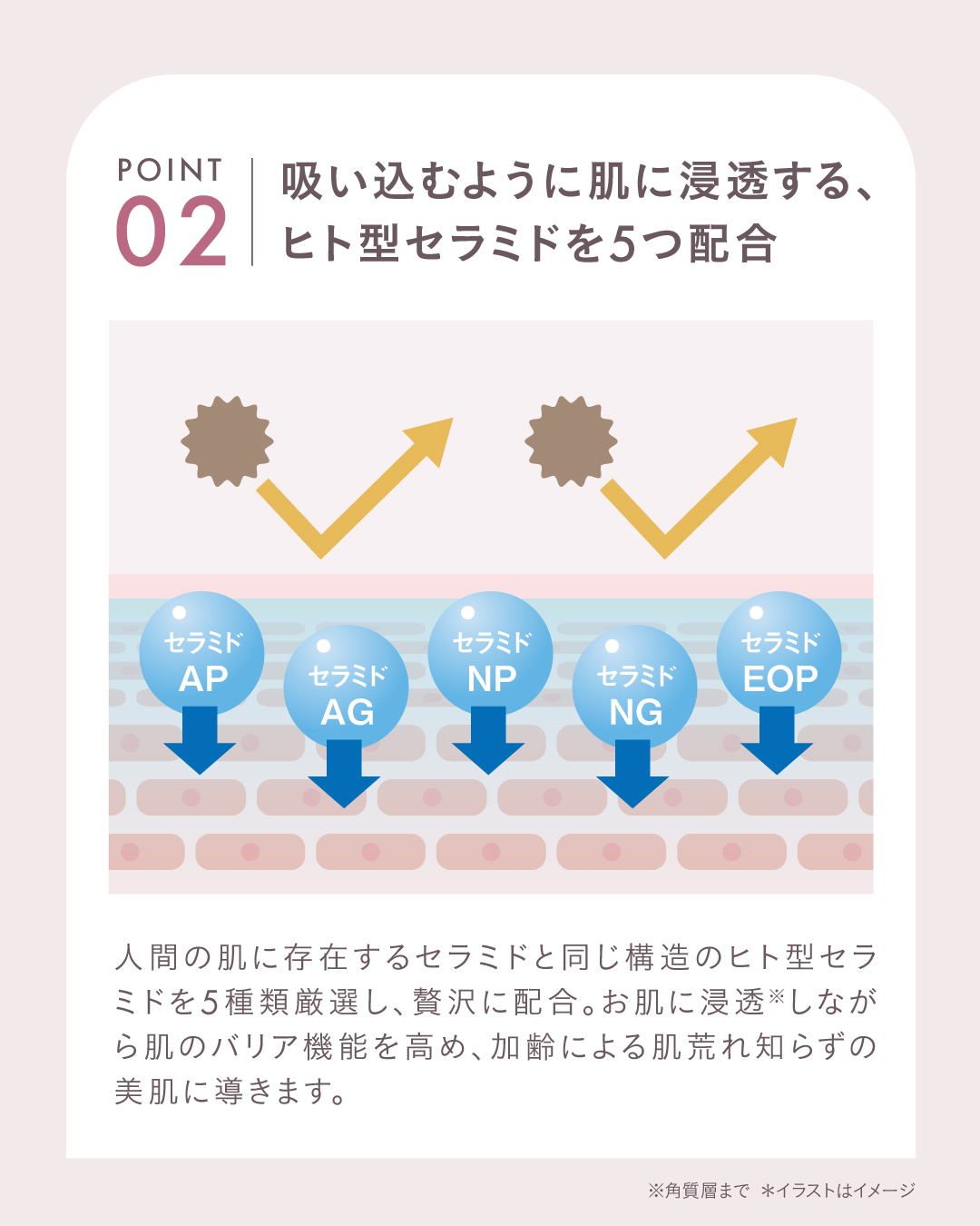 ローズモイストミルク ｜ ROSE LABO〈ローズラボ〉公式オンラインストア