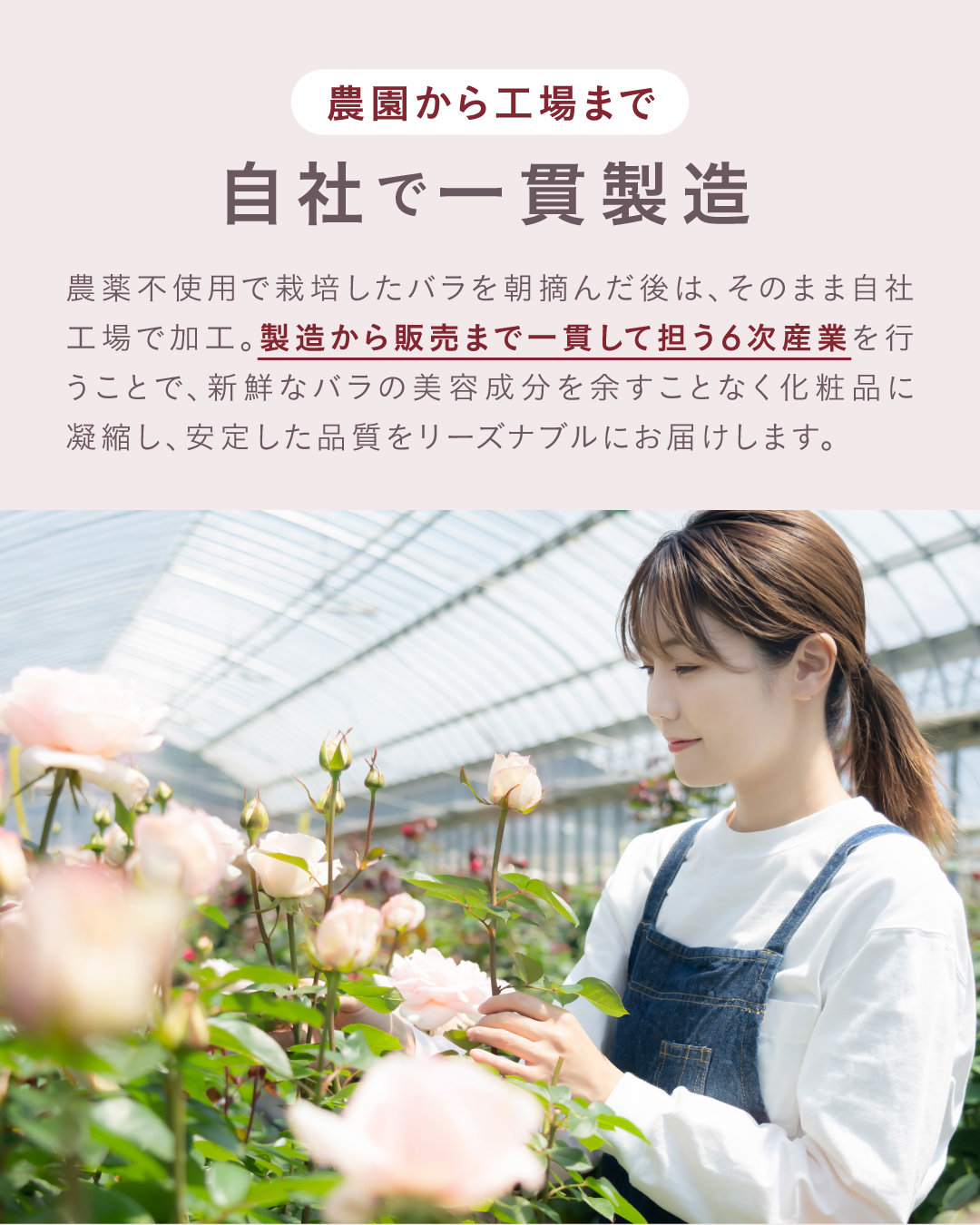 ローズモイストミルク ｜ ROSE LABO〈ローズラボ〉公式オンラインストア