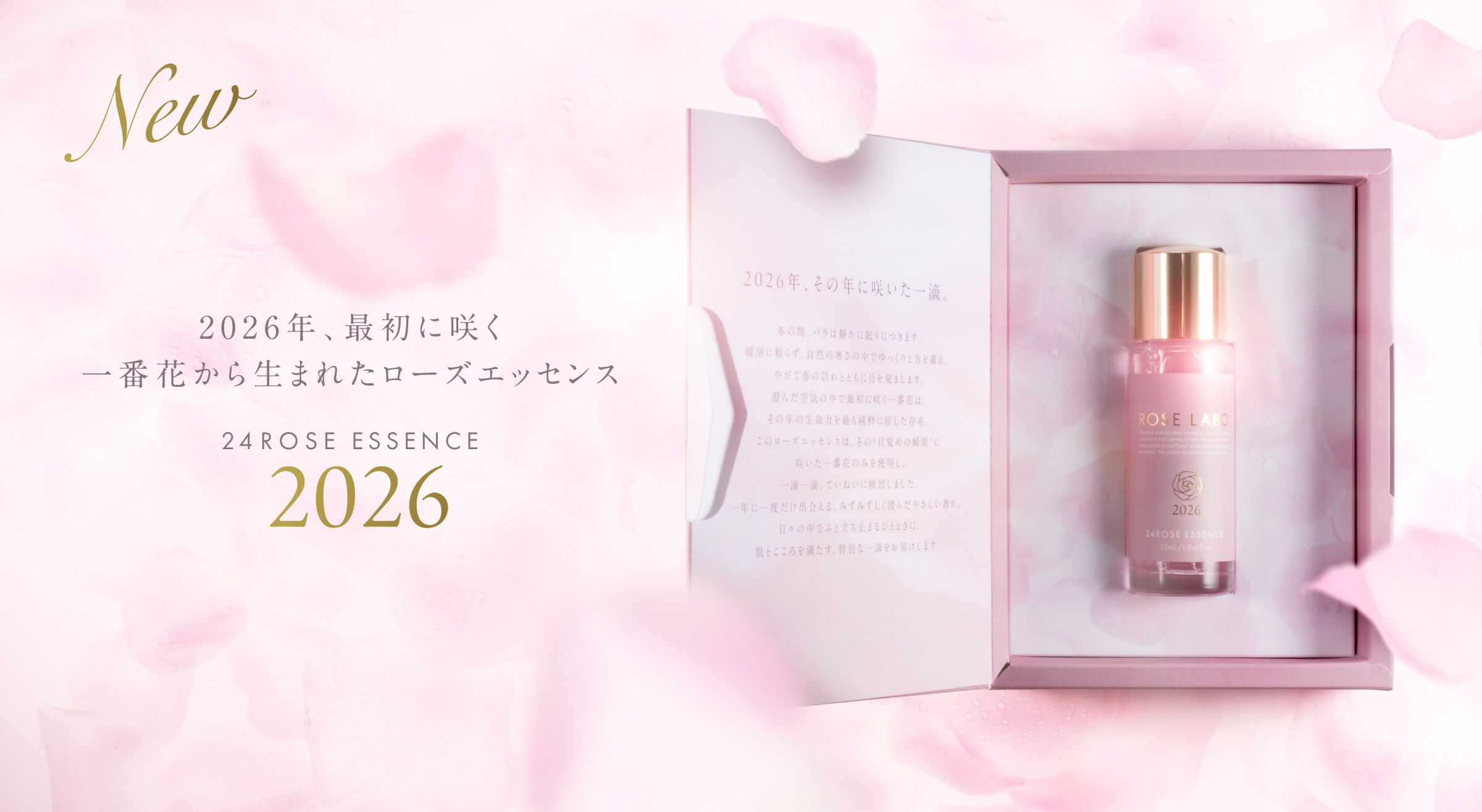 24ROSE®ローズエッセンス2026